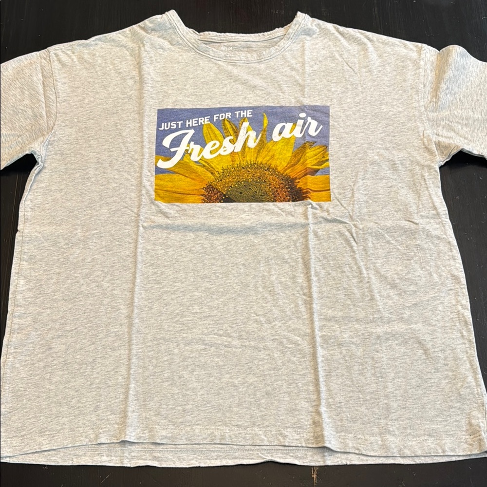 aerie short sleeve oversized graphic t shirt. size large. like new.